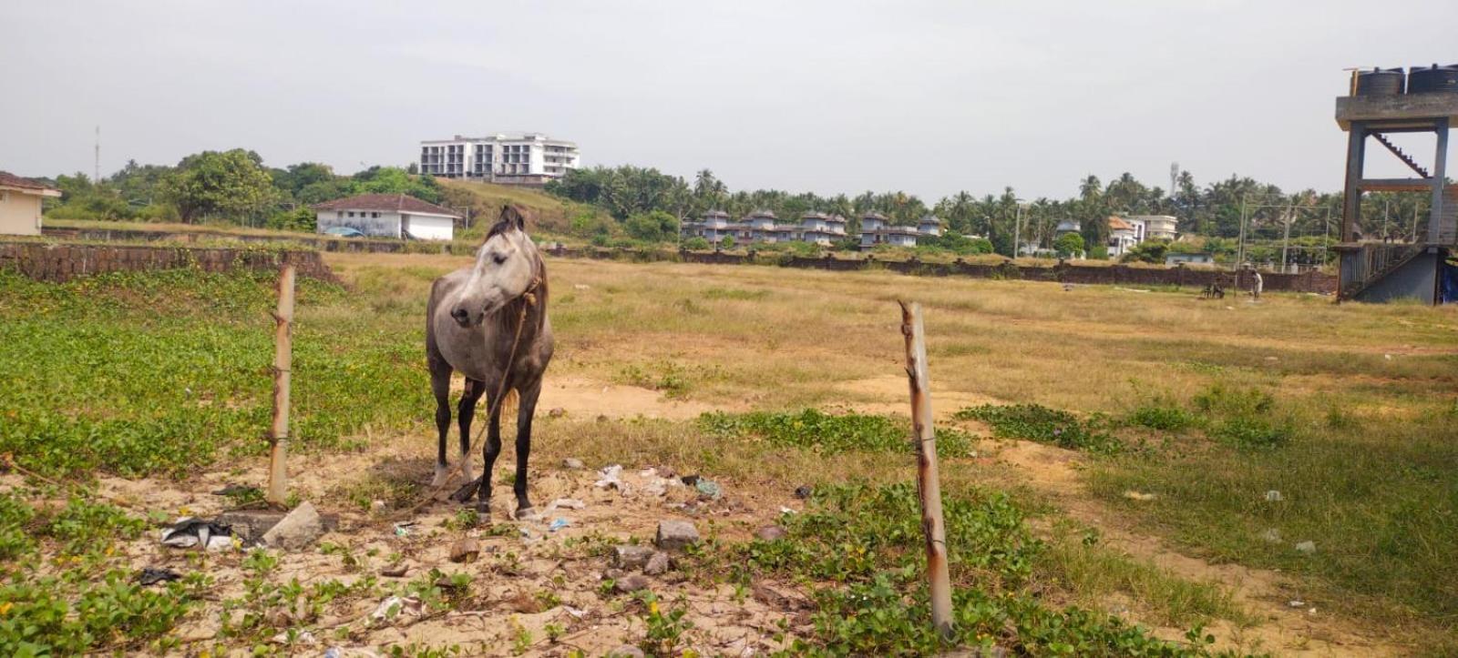 Bekal Fort Beach Resorts Bekal Town Exteriör bild